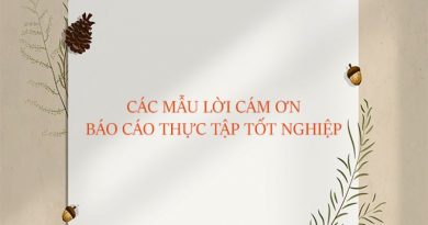 Các mẫu lời cảm ơn báo cáo thực tập